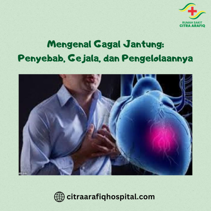  Mengenal Gagal Jantung: Penyebab, Gejala, dan Pengelolaannya