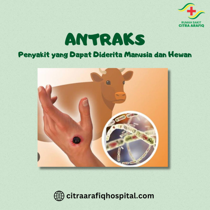 Antraks: Penyakit yang Dapat Diderita Manusia dan Hewan