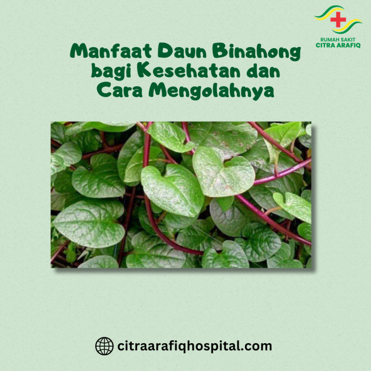 Anemia Pada Remaja